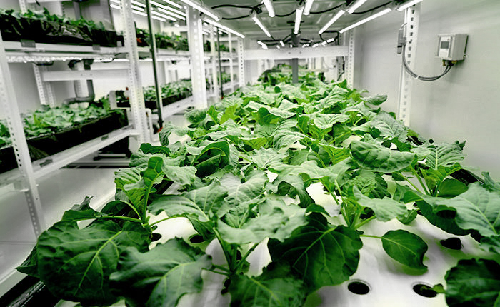 ZIN Corporation スマートファームショールーム